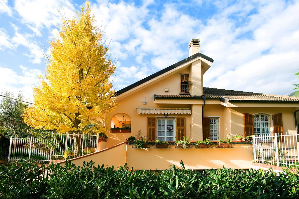 L'Albero Della Vita Bed and Breakfast Ceriale Eksteriør billede